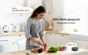 Điều khiển thiêt bị điện bằng giọng nói một cách đơn giản